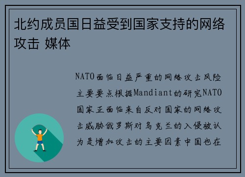 北约成员国日益受到国家支持的网络攻击 媒体