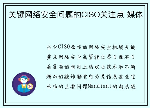 关键网络安全问题的CISO关注点 媒体