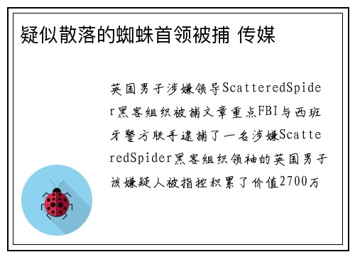 疑似散落的蜘蛛首领被捕 传媒
